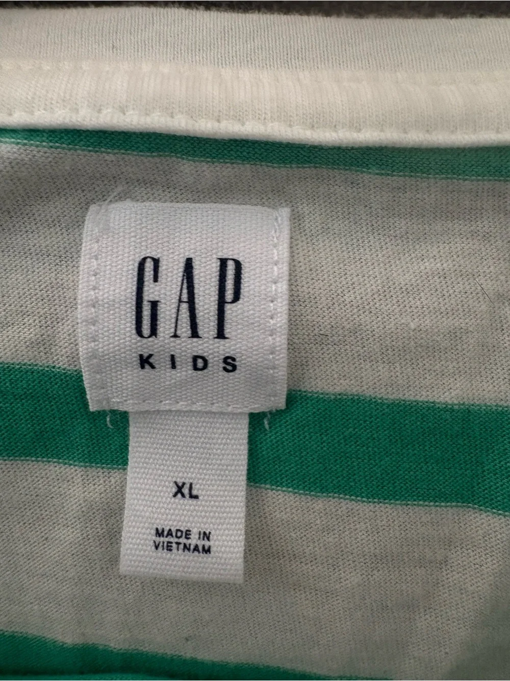 NWT GAP Striped Long-Sleeve Tee with Cherry Graphic Green, Blue & Pink Size XL